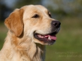 Emmi Portrait
