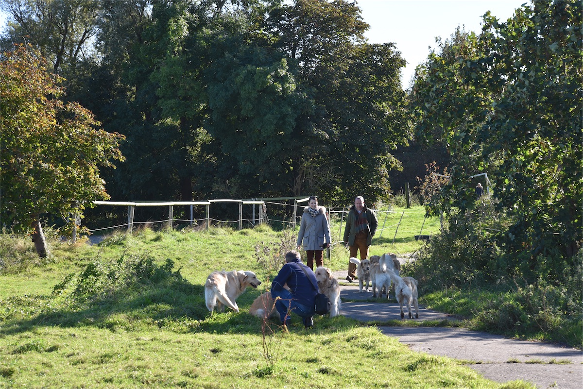 DSC_3897