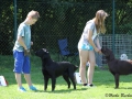 Grady mit Max mein Juniorhandling