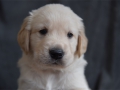 DSC_5831