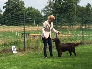 Bremen Stuhr2016 Lolle BOS